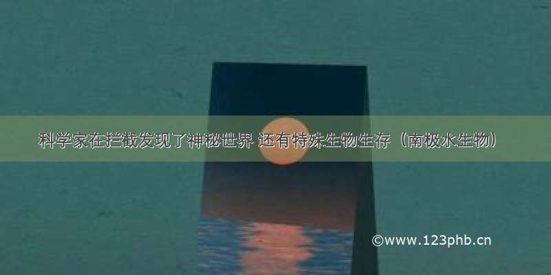 科学家在拦截发现了神秘世界 还有特殊生物生存（南极水生物）