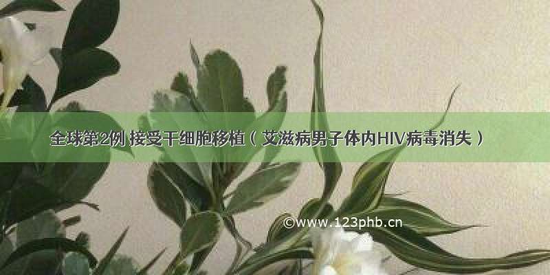 全球第2例 接受干细胞移植（艾滋病男子体内HIV病毒消失）