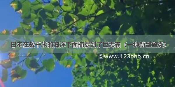 日本在数千米的海洋下面捕捉到了巨无霸（一种新型鱼类）