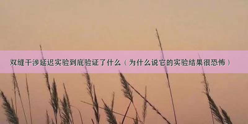 双缝干涉延迟实验到底验证了什么（为什么说它的实验结果很恐怖）