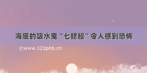 海底的吸水鬼“七鳃鳗”令人感到恐怖