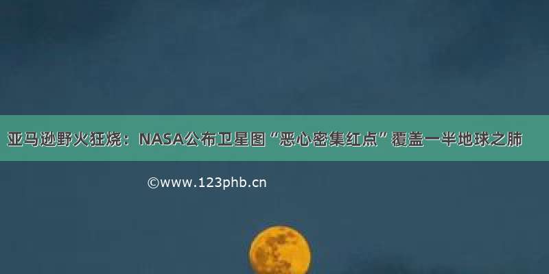 亚马逊野火狂烧：NASA公布卫星图“恶心密集红点”覆盖一半地球之肺