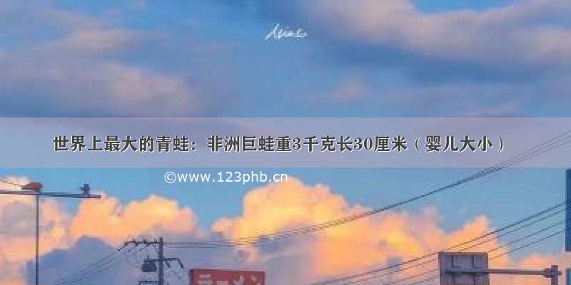 世界上最大的青蛙：非洲巨蛙重3千克长30厘米（婴儿大小）