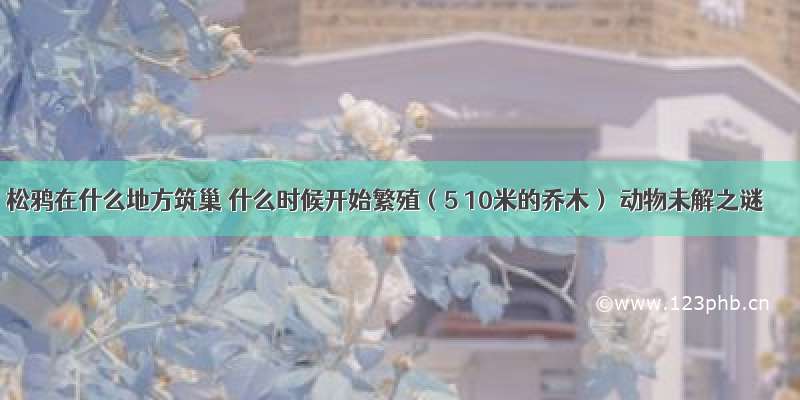 松鸦在什么地方筑巢 什么时候开始繁殖（5 10米的乔木） 动物未解之谜