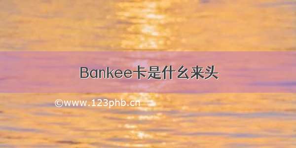 Bankee卡是什幺来头