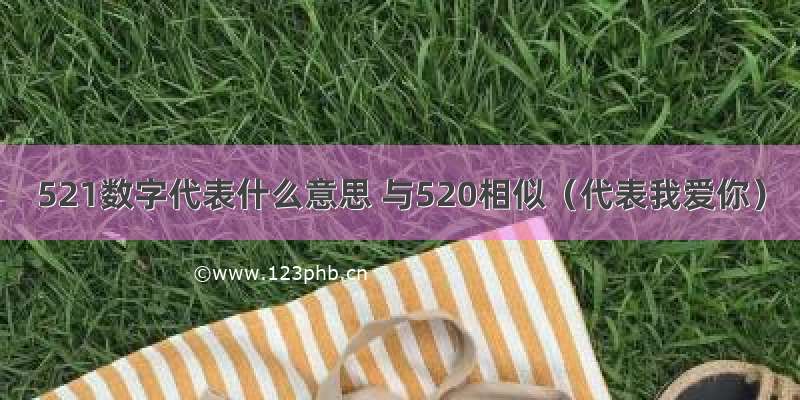 521数字代表什么意思 与520相似（代表我爱你）