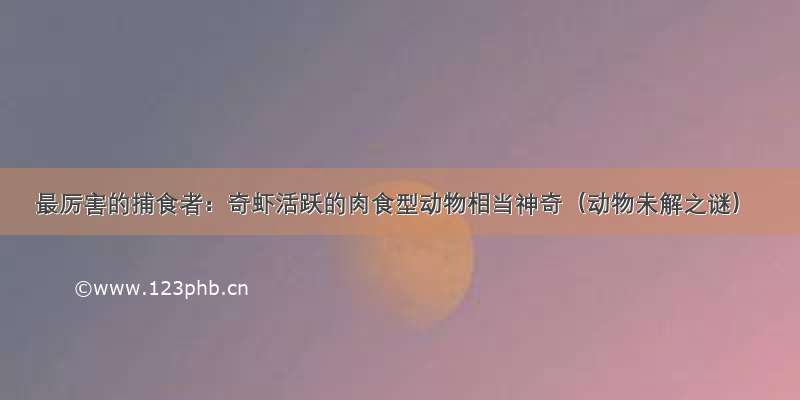 最厉害的捕食者：奇虾活跃的肉食型动物相当神奇（动物未解之谜）