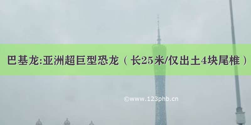 巴基龙:亚洲超巨型恐龙（长25米/仅出土4块尾椎）