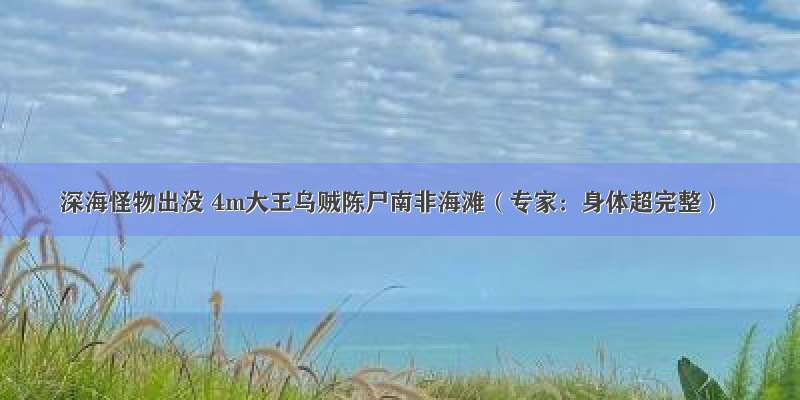 深海怪物出没 4m大王乌贼陈尸南非海滩（专家：身体超完整）