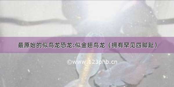 最原始的似鸟龙恐龙:似金翅鸟龙（拥有罕见四脚趾）