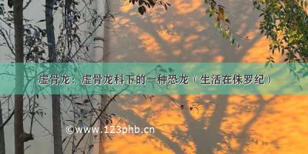 虚骨龙：虚骨龙科下的一种恐龙（生活在侏罗纪）