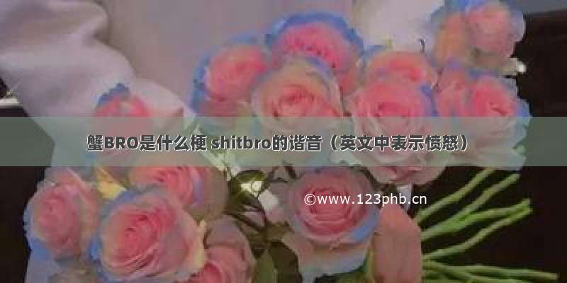 蟹BRO是什么梗 shitbro的谐音（英文中表示愤怒）