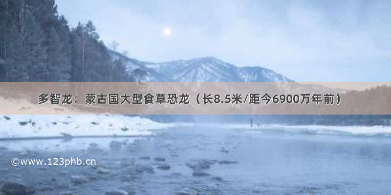 多智龙：蒙古国大型食草恐龙（长8.5米/距今6900万年前）