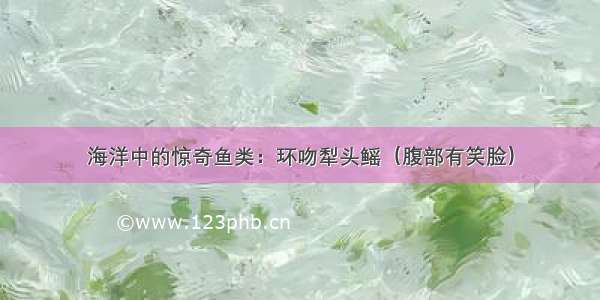 海洋中的惊奇鱼类：环吻犁头鳐（腹部有笑脸）