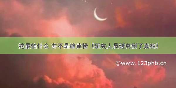 蛇最怕什么 并不是雄黄粉（研究人员研究到了真相）