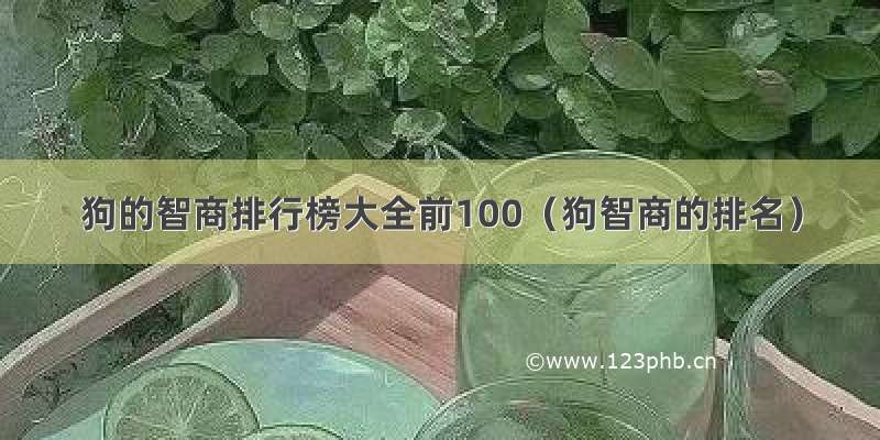 狗的智商排行榜大全前100（狗智商的排名）