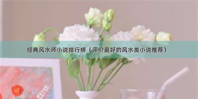 经典风水师小说排行榜（评价最好的风水类小说推荐）