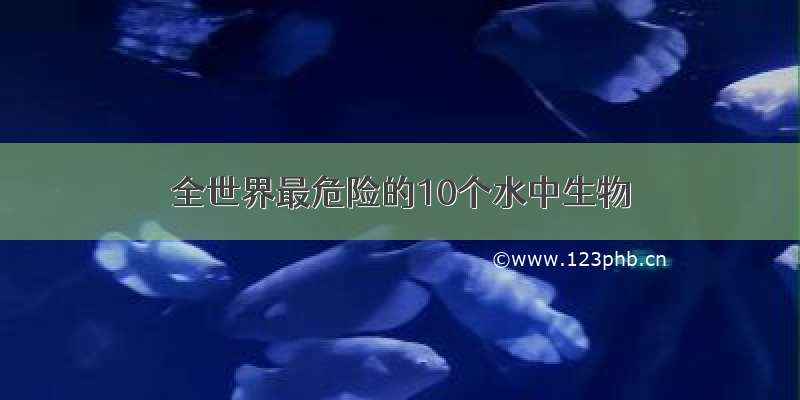 全世界最危险的10个水中生物