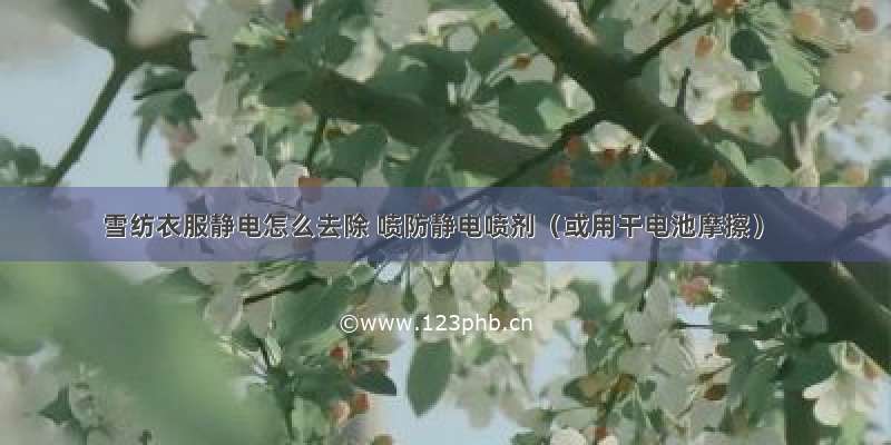 雪纺衣服静电怎么去除 喷防静电喷剂（或用干电池摩擦）