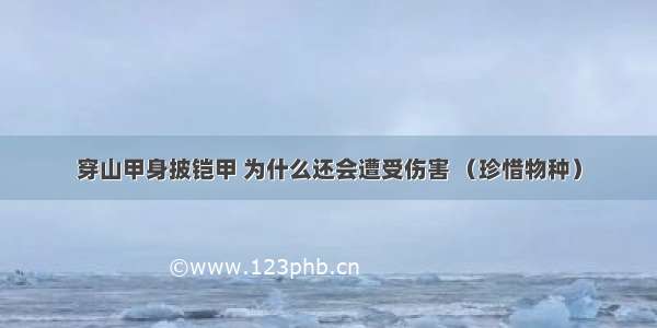 穿山甲身披铠甲 为什么还会遭受伤害 （珍惜物种）