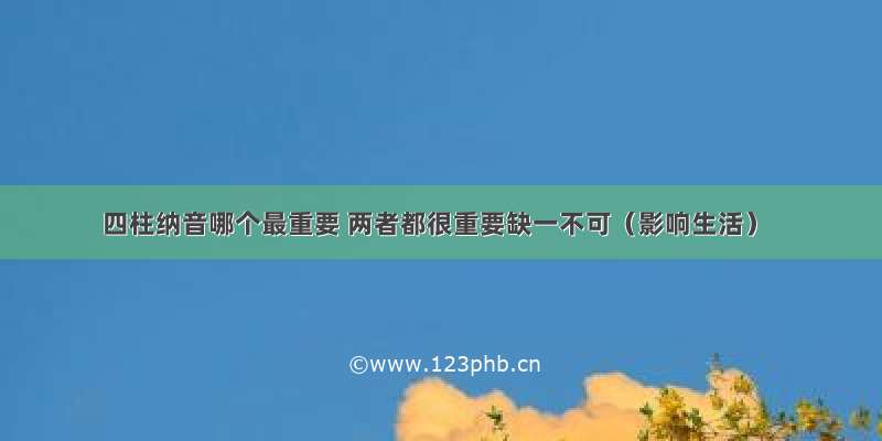 四柱纳音哪个最重要 两者都很重要缺一不可（影响生活）