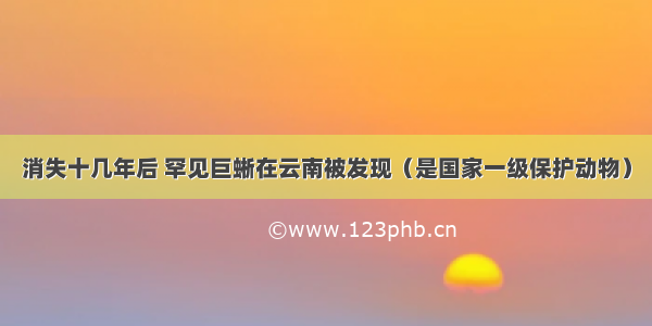 消失十几年后 罕见巨蜥在云南被发现（是国家一级保护动物）