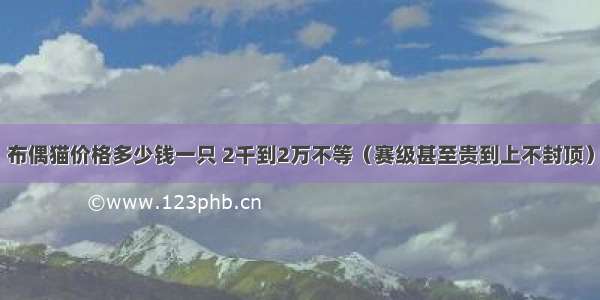 布偶猫价格多少钱一只 2千到2万不等（赛级甚至贵到上不封顶）