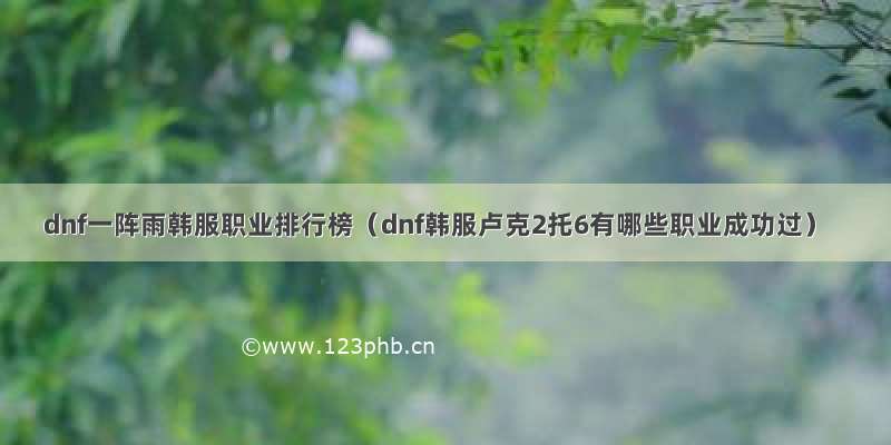 dnf一阵雨韩服职业排行榜（dnf韩服卢克2托6有哪些职业成功过）