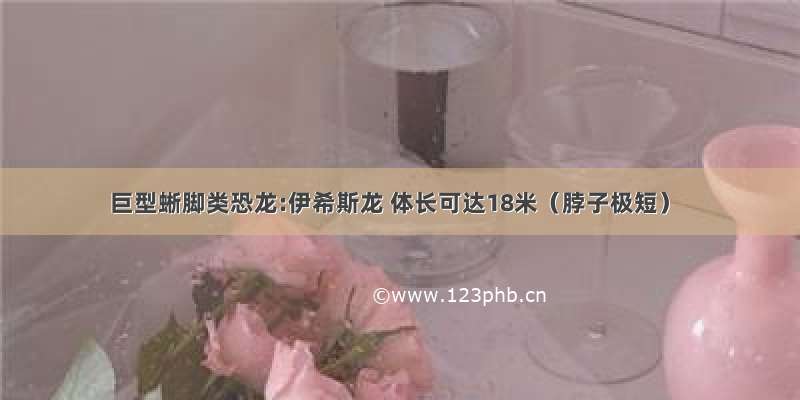 巨型蜥脚类恐龙:伊希斯龙 体长可达18米（脖子极短）