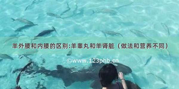 羊外腰和内腰的区别:羊睾丸和羊肾脏（做法和营养不同）