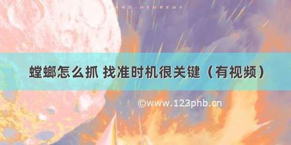 螳螂怎么抓 找准时机很关键（有视频）