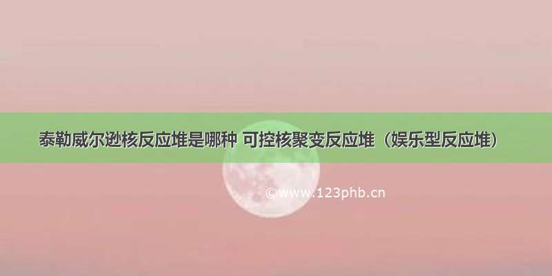 泰勒威尔逊核反应堆是哪种 可控核聚变反应堆（娱乐型反应堆）