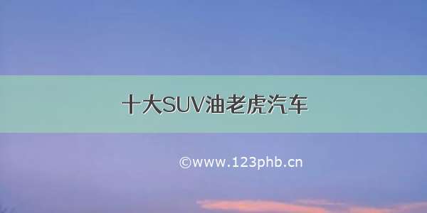 十大SUV油老虎汽车