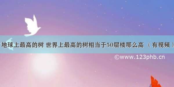 地球上最高的树 世界上最高的树相当于50层楼那么高 （有视频）