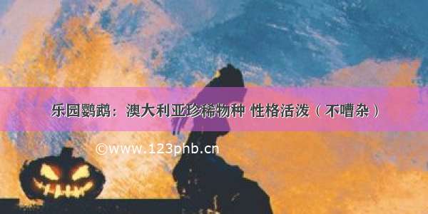 乐园鹦鹉：澳大利亚珍稀物种 性格活泼（不嘈杂）