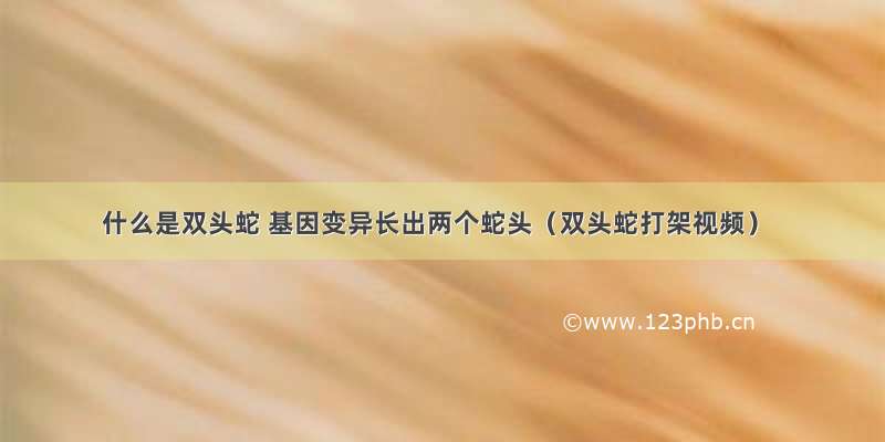 什么是双头蛇 基因变异长出两个蛇头（双头蛇打架视频）