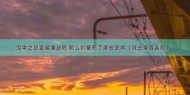 汉中之战夏侯渊战死 那么刘备死了哪些武将（说出来真丢脸）