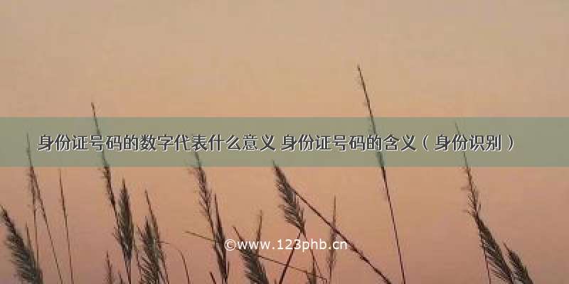 身份证号码的数字代表什么意义 身份证号码的含义（身份识别）