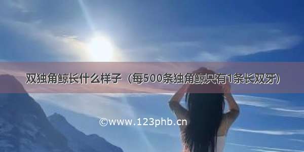 双独角鲸长什么样子（每500条独角鲸只有1条长双牙）