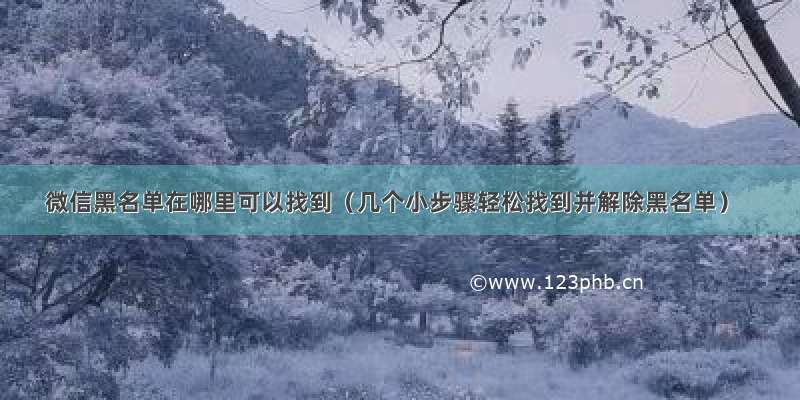 微信黑名单在哪里可以找到（几个小步骤轻松找到并解除黑名单）