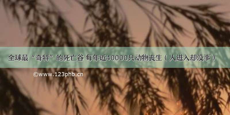 全球最“奇特”的死亡谷 每年近40000只动物丧生（人进入却没事）