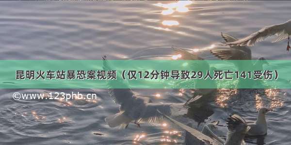 昆明火车站暴恐案视频（仅12分钟导致29人死亡141受伤）