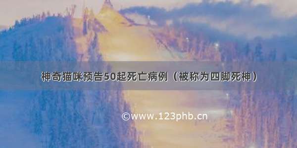 神奇猫咪预告50起死亡病例（被称为四脚死神）