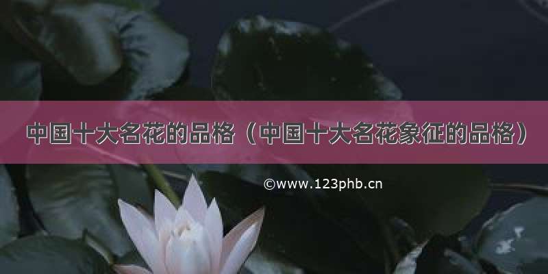 中国十大名花的品格（中国十大名花象征的品格）