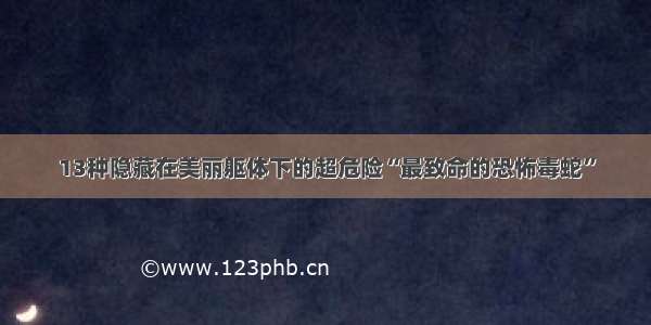 13种隐藏在美丽躯体下的超危险“最致命的恐怖毒蛇”