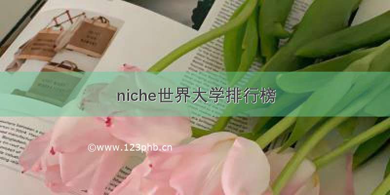 niche世界大学排行榜