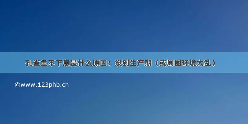 孔雀鱼不下崽是什么原因：没到生产期（或周围环境太乱）