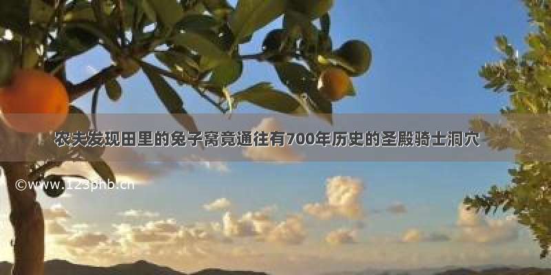 农夫发现田里的兔子窝竟通往有700年历史的圣殿骑士洞穴