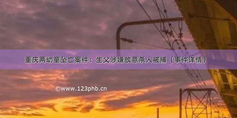 重庆两幼童坠亡案件：生父涉嫌故意杀人被捕（事件详情）