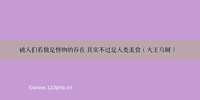 被人们看做是怪物的存在 其实不过是人类美食（大王乌贼）